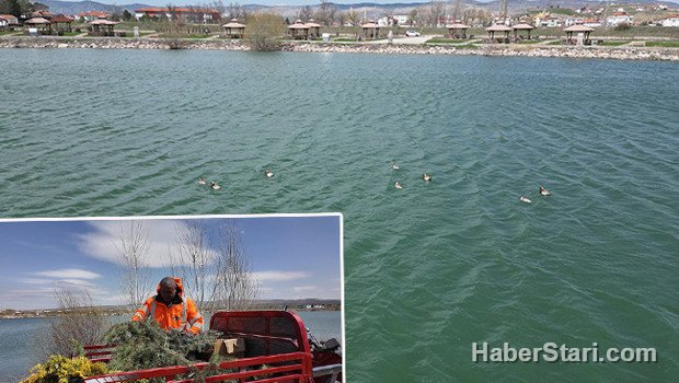 İlçeye ilk kez geldiler: Halk tarafından sevinçle karşılandı! 'Burada kalmaları için elimizden geleni yapacağız'